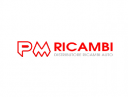 P.m. ricambi - Ricambi e componenti auto commercio - Modugno (Bari)